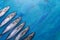 Row of mackerel fishes laid out diagonally on painted blue background.