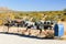 A row of mail boxes along the way to Palm Springs.