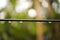 A row of many rain droplets on a black cabel line in rainy day with blur green nature background and bokeh light.Blurred backgroun