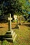 Row of Memorial crosses in a cemetery