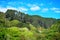 A row of mighty pine trees rolling down lush green of mountain range on a sunny day.