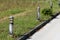 Row of modern lamps with faded black color next to paved driveway surrounded with high uncut grass and small flowers