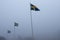 Row of the national flags of Sweden against a background of foggy sky