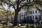 Row of Old Neighborhood Homes next to Monterey Square in the Historic District of Savannah Georgia