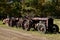 Row of old rusty tractors