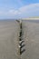 Row of old wooden posts on West Wittering beach