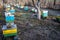 row of old yellow and blue hives on old apiary. large apiary to remove bee uteruses on point. Preparing bees for