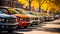 Row of parked cars on autumn trees street