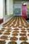 Row of Pecan Cookies