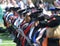 Row of people at graduation, Northwestern Oklahoma State University