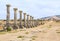 Row of pillars at the ruins of Volubilis, ancient Roman city in Morocco
