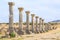 Row of pillars at the ruins of Volubilis, ancient Roman city in Morocco