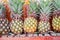 Row of pineapple group