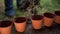 Row of plant pots with gardener digging soil in the background