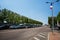 Row of pollarded trees with rectangular shaped canopy, branches in Chalon Sur Saone, Burrgundy, France