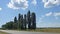 A row of poplars along the road