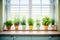 a row of potted herbs on a kitchen windowsill