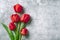 Row of red tulips on concrete background with space for text, message 8 March, Happy Valentine`s day, Mother`s, Memorial, Teache