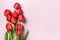 Row of red tulips on pink background with space for text, message 8 March, Happy Valentines day, Mothers, Memorial, Teachers