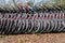 Row of Rental Bicycles for Green Transportation