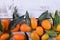 Row of ripe kumquats with leaves
