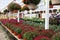 Row upon row of bright and colorful potted plants and hanging flowers at local market