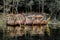 A row of royal king boat in the river