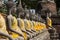 Row of Sacred Buddha in Ayutthaya