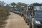 A row of safari jeeps in Sri Lanka.