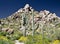 Row of Saguaro under Pinnacle Peak