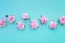 Row of satin pink rose buds on turquoise pastel background. Top view