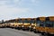 Row of School Busses