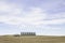 A row of steel grain bins in a field