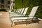 Row of sunbeds at poolside in luxurious hotel