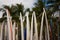 Row of surfboards for rent