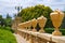 Row of Tall Urns at Stanford University