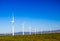 Row Of Three Bladed Energy Producing Windmills