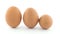 Row of three chicken eggs.