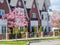 Row of townhouses lined up with blooming magnolias