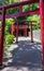 Row of traditional red Torii with entrance path to japanese Jigoku Meguri Shinto Shrine framed by a green landscape. Beppu, Oita