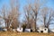 Row of Trailer Homes Under Tall Trees