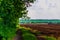 Row of trees along farm dirt road besides plowed field