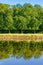 Row of trees is reflecting in a canal of a french classical garden (Vaux-le-Vicomte