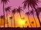 Row of tropic palm trees against sunset sky. Silhouette of tall palm trees. Tropic evening landscape. Gradient color. Vector illus