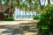 Row tropical coconut palms swaying in tropical breeze in South Pacific island