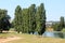 Row of very tall narrow trees next to calm river surrounded with grass and sidewalk under construction