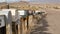 Row of vintage drop boxes on road intersection, arid Arisona desert, USA. Postal retro mailboxes on roadside of tourist