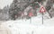 Row of warning roadsign on dangerous part of forest road, during winter blizzard. Caution - deers, snow, skids and