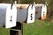 A row of white mailboxes