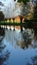 Row of willows reflected in water